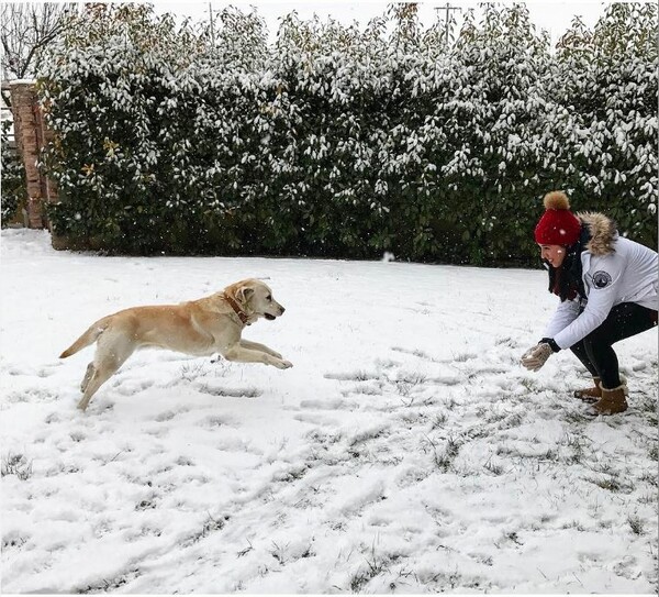 Oι αναγνώστες μας έβγαλαν πάλι τα ζώα τους στα χιόνια: 30 νέες φωτογραφίες