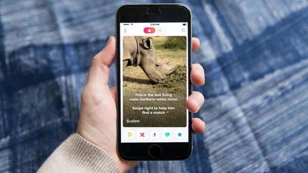 O τελευταίος λευκός ρινόκερος αναζητά ταίρι με αγγελία στο Tinder