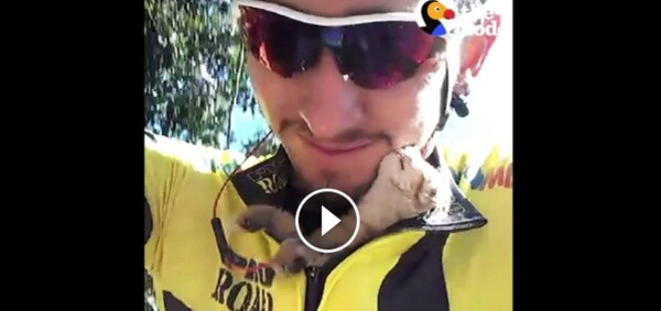 Αυτός ο ποδηλάτης ήθελε να κάνει βόλτα αλλά τελικά έσωσε κι ένα γατάκι.