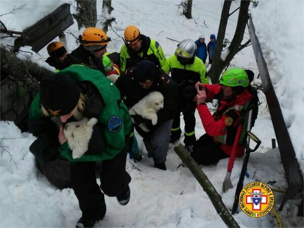 Ιταλία: Τρία κουτάβια βρέθηκαν ζωντανά μέσα στο θαμμένο από χιόνι ξενοδοχείο (φωτογραφίες)