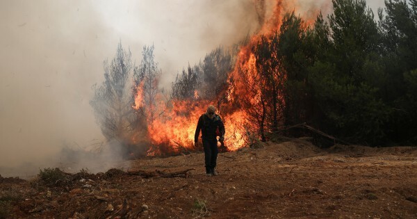 Φωτιά σε δάσος στη Χαλκιδική έπειτα από κεραυνό