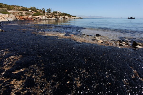Απόγνωση στη Σαλαμίνα: Πίσσα και πετρέλαιο σε ακτογραμμή 2,5 χλμ και χιλιάδες τόνοι καυσίμων στο Σαρωνικό