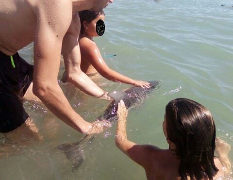 Μωρό δελφίνι πέθανε στα χέρια τουριστών που έβγαζαν selfies μαζί του