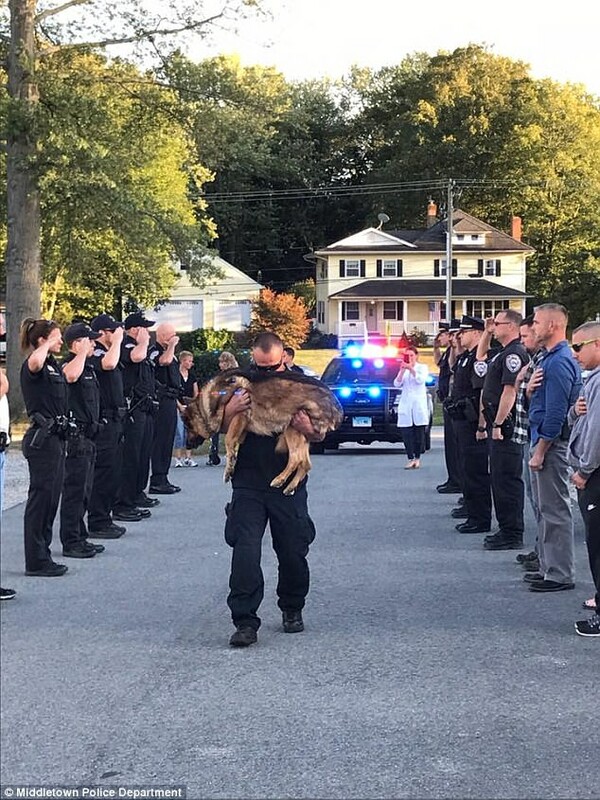 ΗΠΑ: Αστυνομικοί αποχαιρετούν τον σκύλο- συνεργάτη τους λίγο πριν την ευθανασία