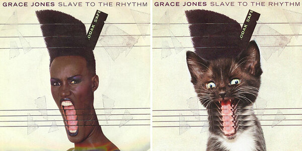 Πανέμορφα γατάκια καταλαμβάνουν θρυλικά εξώφυλλα μουσικών άλμπουμ