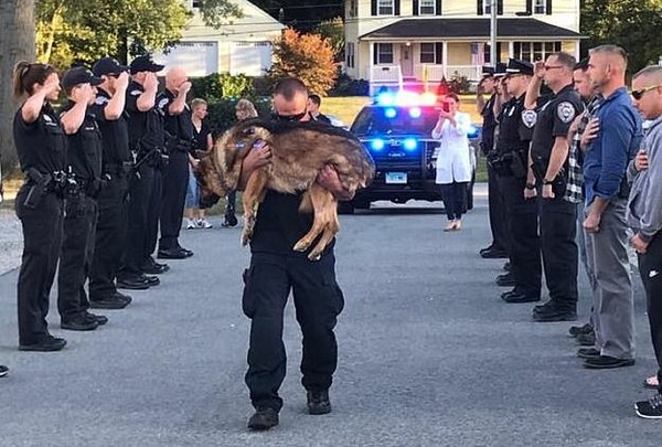 ΗΠΑ: Αστυνομικοί αποχαιρετούν τον σκύλο- συνεργάτη τους λίγο πριν την ευθανασία