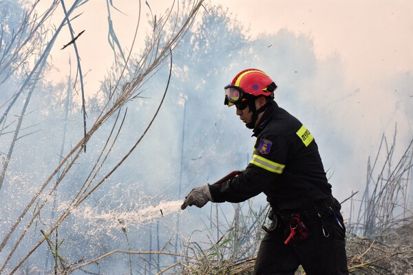 Πάτρα: Φωτιά σε προστατευόμενη δασική έκταση στην Καλογριά