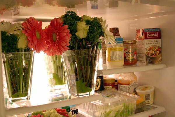 6 πράγματα που πρέπει οπωσδήποτε να διατηρούνται μέσα στο ψυγείο