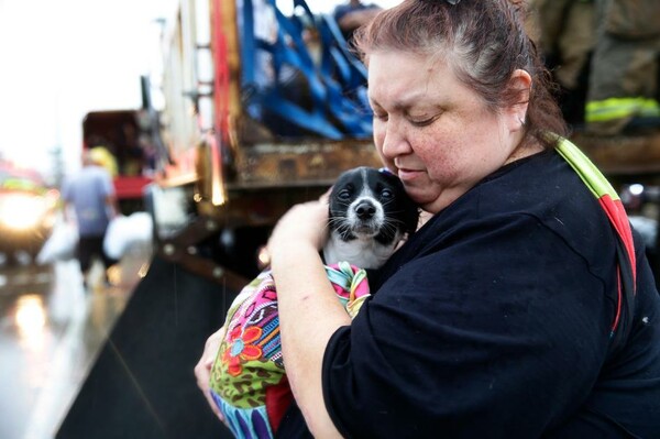 Σκύλοι που εγκαταλείφθηκαν και απελπισμένοι ιδιοκτήτες που παλεύουν να σώσουν τα ζώα τους στο Τέξας