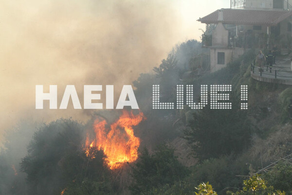 Σε καλύτερη κατάσταση τα μέτωπα στην Ηλεία - Ολονύχτια μάχη με τις φλόγες θα δίνουν οι πυροσβέστες
