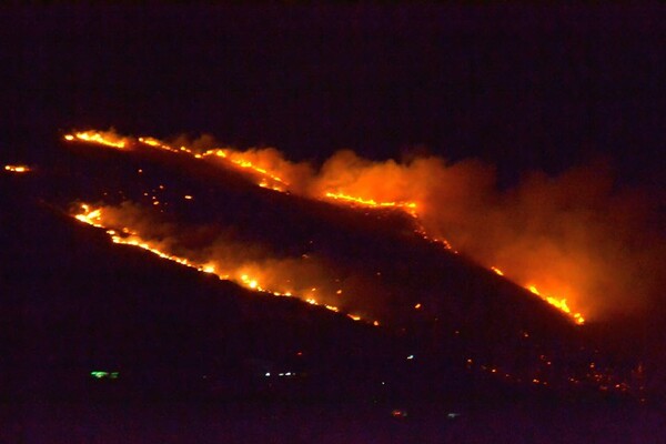 Κεφαλονιά: Υπό έλεγχο η μεγάλη πυρκαγιά στα Σιμωτάτα - Οι πυροσβέστες έσωσαν τα σπίτια
