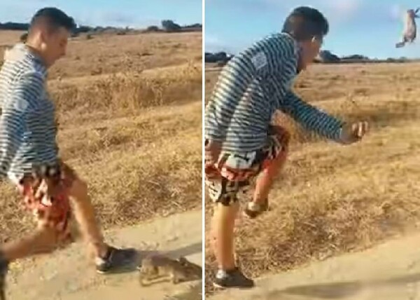 Ισπανία: Η αστυνομία αναζητά αυτόν τον τύπο που κλωτσά βάναυσα ένα κουνέλι (Προσοχή: Σκληρές εικόνες)