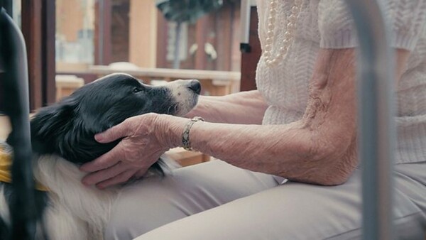 «Τον αγαπώ, είναι ο καλύτερός μου φίλος»: Ο Έρικ είναι σκύλος θεραπείας και αλλάζει τις ζωές των ανθρώπων που τον χρειάζονται