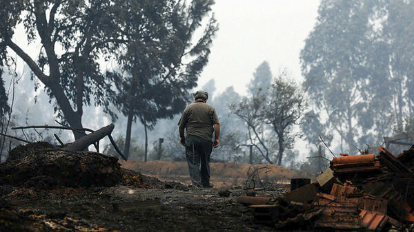 Περιβάλλον: Κι όμως, οι φωτιές καίνε κάθε χρόνο λιγότερες εκτάσεις