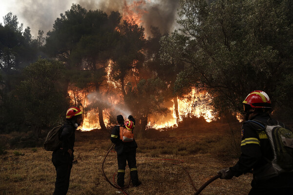 Καλύτερη η εικόνα της φωτιάς στη Μάκιστο - Σε εξέλιξη πυρκαγιά στον Ξηρόκαμπο Αρχαίας Ολυμπίας