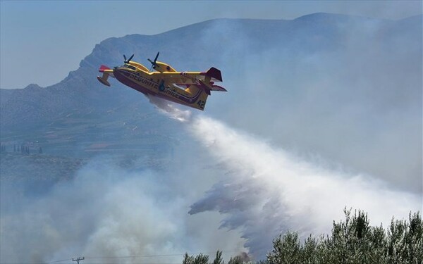 36 πυρκαγιές σε 24 ώρες σε όλη την Ελλάδα