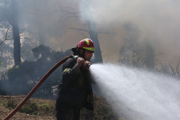 Για ακόμη μία ημέρα υψηλός ο κίνδυνος πυρκαγιάς-51 πυρκαγιές χθες