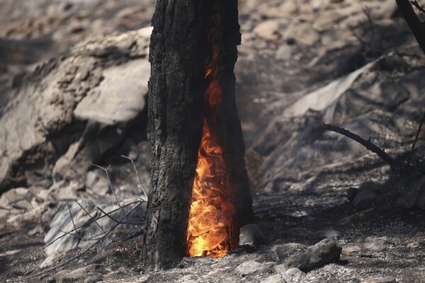 Σε εξέλιξη πυρκαγιά στην Κίσσαμο της Κρήτης - Ισχυροί άνεμοι στην περιοχή