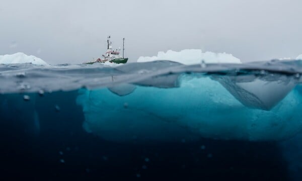 Αυτές είναι οι πρώτες φωτογραφίες με τα σπάνια πλάσματα που ζουν στον βυθό της Ανταρκτικής