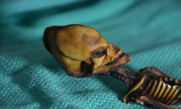 Λύθηκε το μυστήριο του «εξωγήινου» σκελετού από την έρημo της Χιλής