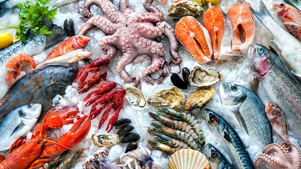 Γιατί συνεχίζουμε να τρώμε προστατευόμενα είδη θαλασσινών στα ελληνικά εστιατόρια;