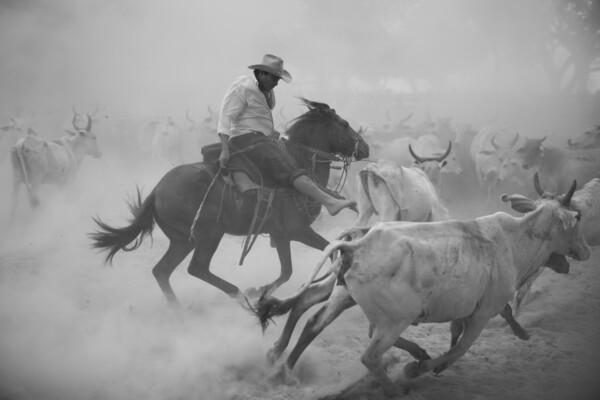 Οι llaneros λατρεύουν τη γη και τα άλογα