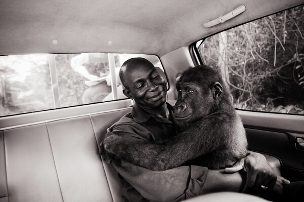 Η αγκαλιά της Πίκιν στον άντρα που την έσωσε κέρδισε το βραβείο Φωτογραφίας Άγριας Ζωής της χρονιάς