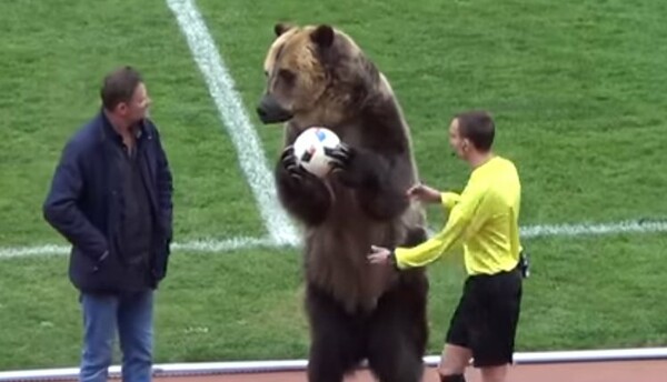 Σόου με αρκούδα σε ποδοσφαιρικό αγώνα της Ρωσίας προκαλεί οργή