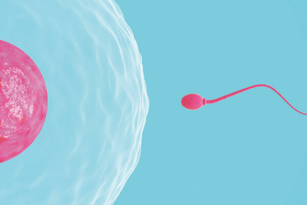 ​Η γονιμότητα μπορεί πλέον να είναι εφικτή και στους ογκολογικούς ασθενείς