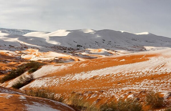 Ξανά στα λευκά η Σαχάρα - Χιόνισε για τρίτη φορά μέσα σε 40 χρόνια