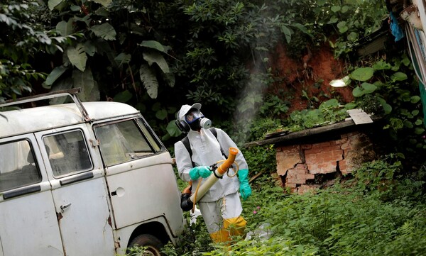 Σε συναγερμό η Βραζιλία λόγω κρουσμάτων κίτρινου πυρετού - Κλείνουν ζωολογικοί κήποι και πάρκα