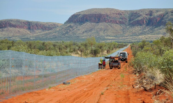 H Αυστραλία κατασκεύασε το μεγαλύτερο φράχτη στον κόσμο για την προστασία σπάνιων ζώων από τις αγριόγατες