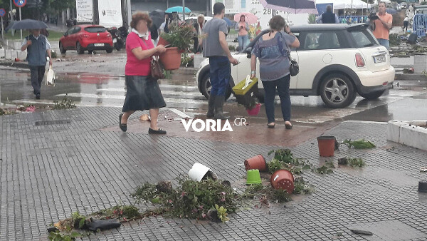 Τι συνέβη με τα γλαστράκια στη Θεσσαλονίκη σήμερα - Το βίντεο με το «πλιάτσικο» που προκαλεί συζητήσεις
