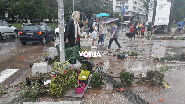 Τι συνέβη με τα γλαστράκια στη Θεσσαλονίκη σήμερα - Το βίντεο με το «πλιάτσικο» που προκαλεί συζητήσεις