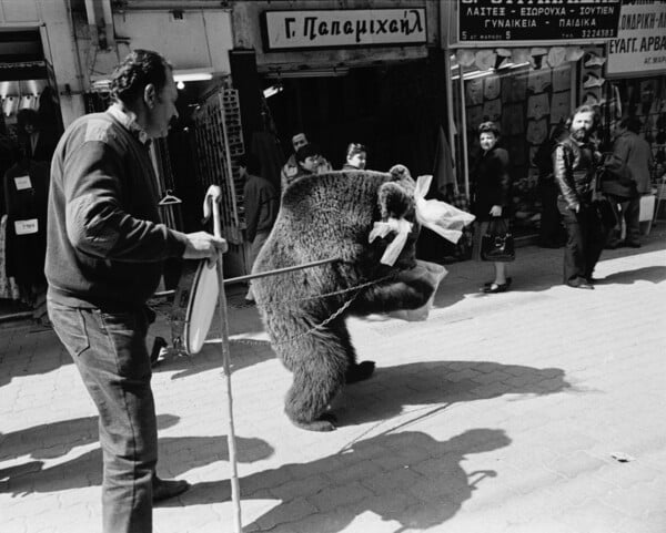 Η τελευταία αρκούδα "χορεύτρια" της Αθήνας