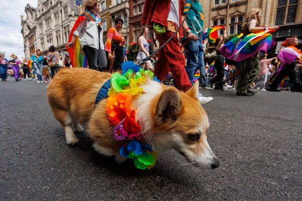 Revellers fill London for 50th anniversary of Pride