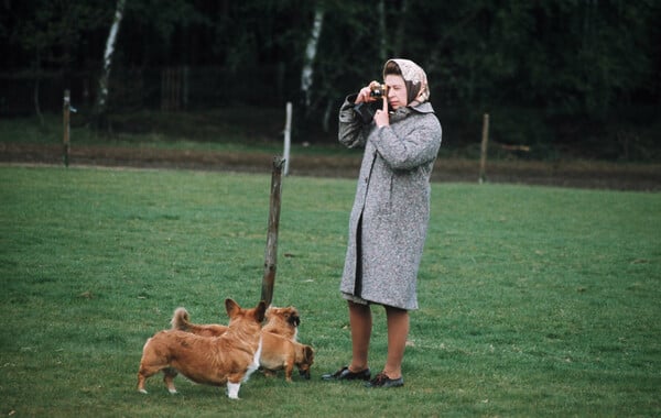 Where Queen Elizabeth’s beloved dogs and horses will go after her death