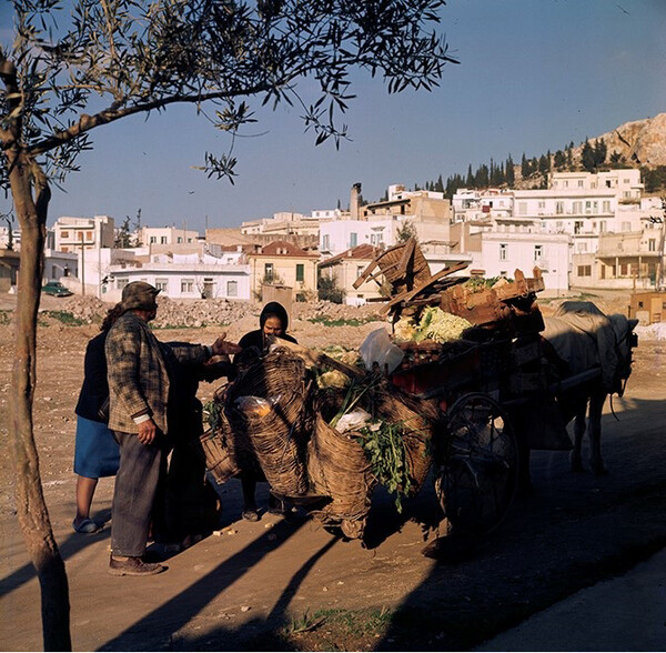 Liza's Photographic Archive of Greece