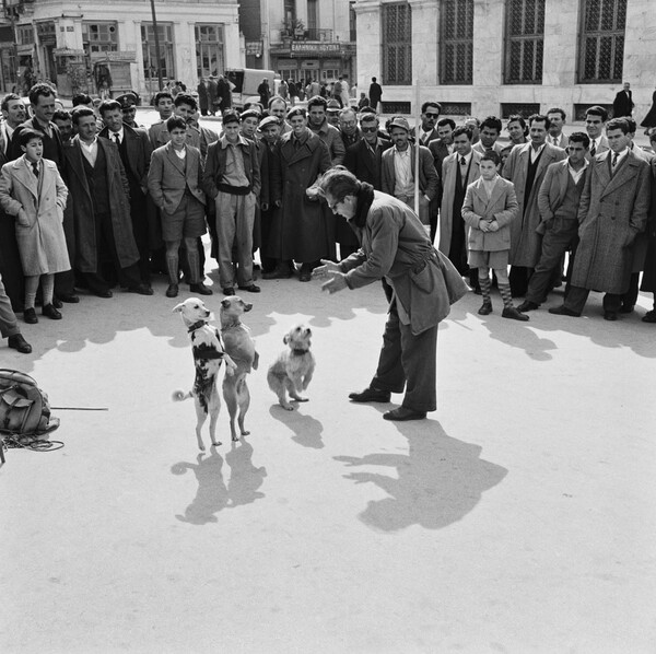 Liza's Photographic Archive of Greece