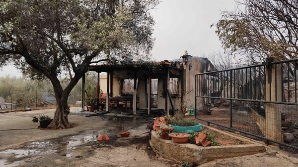 «Η χειρότερη νύχτα στην ιστορία της Αλεξανδρούπολης»: Μαρτυρίες από τις πυρκαγιές στην Βόρεια Ελλάδα