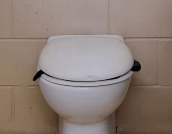 Δηλητηριώδες φίδι βρέθηκε σε δημόσια τουαλέτα στην Αυστραλία
