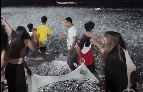 Φιλιππίνες: Το viral βίντεο που σοκάρει - Χιλιάδες ψάρια στις ακτές πριν το σεισμό