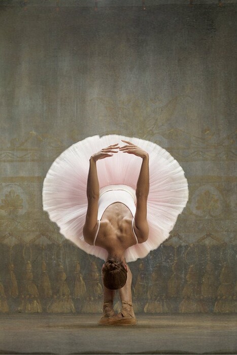 Ο "μαύρος κύκνος" του American Ballet Theatre ζωντανεύει τις θρυλικές μπαλαρίνες του Ντεγκά