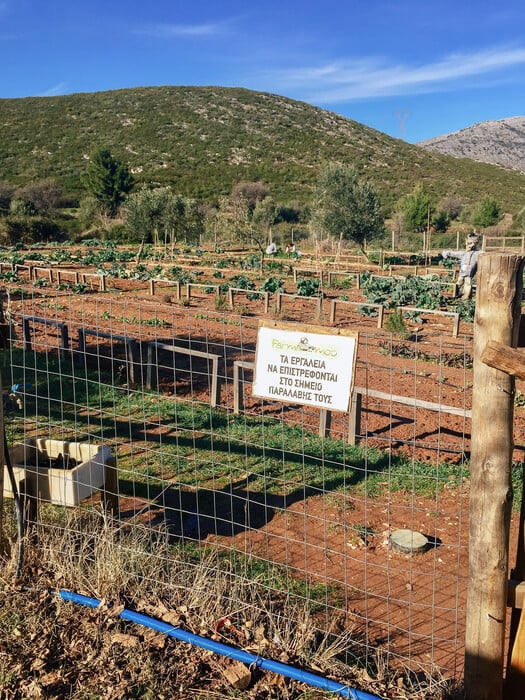 Στο Farmamoo μπορείς να νοικιάσεις ένα κομμάτι γης, για να καλλιεργήσεις μέρος της τροφής σου