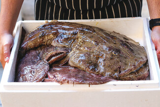 Monkfish: Ζει το ψάρι στου Ζωγράφου; Ζει και βασιλεύει!