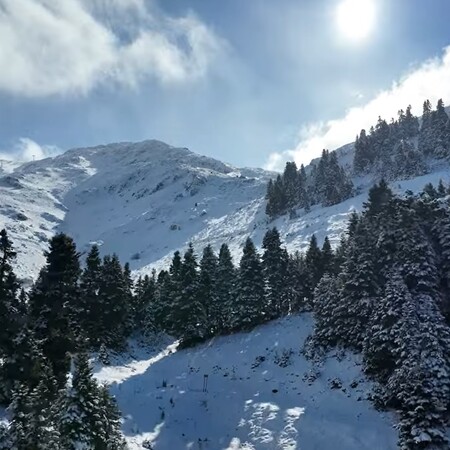Παρνασσός: Έπεσαν τα πρώτα χιόνια στη «Μέκκα» των Ελλήνων σκιέρ - Εντυπωσιακά πλάνα από ψηλά