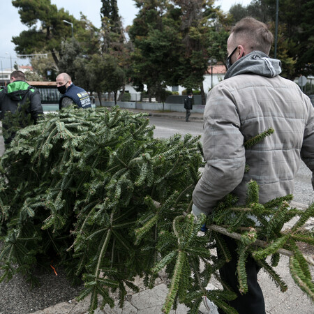 Θεσσαλονίκη: Ξεκινάει από 8 Ιανουαρίου η ανακύκλωση των χριστουγεννιάτικων δέντρων