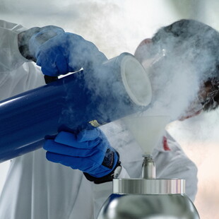Eπιστήμονες δημιούργησαν για πρώτη φορά μίνι σιελογόνο αδένα στο εργαστήριο