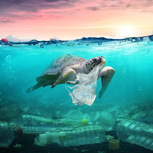 End plastic waste: Η adidas στέλνει ένα ηχηρό μήνυα για την πλαστική ρύπανση