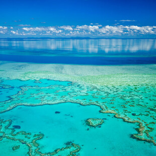 Μεγάλος Κοραλλιογενής Ύφαλος: «Να ενταχθεί στα παγκόσμια μνημεία σε κίνδυνο» προτείνει έκθεση του ΟΗΕ